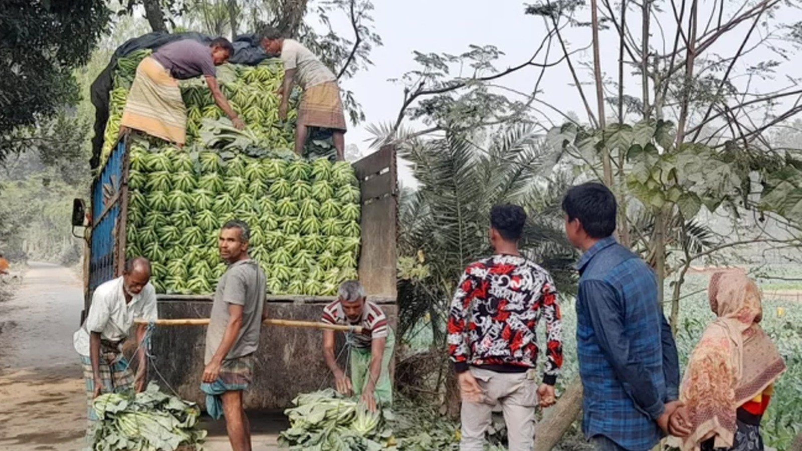 সৈয়দপুরের আগাম সবজি যাচ্ছে ঢাকাসহ বিভিন্ন জেলায়